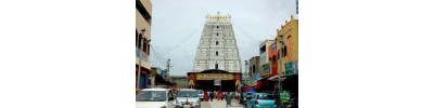 திருச்சானூர் - ஆந்திரா